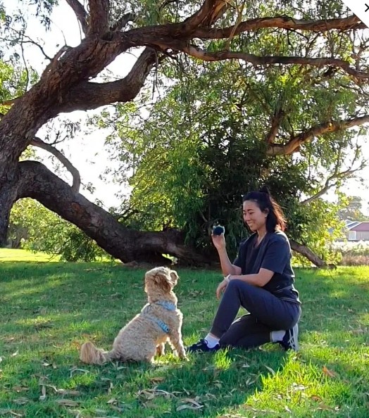 Dr Su-en spending time outdoors with a dog